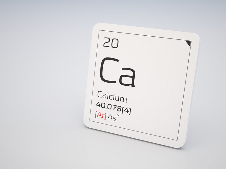 Our Top Six Sources Of Calcium For Dogs