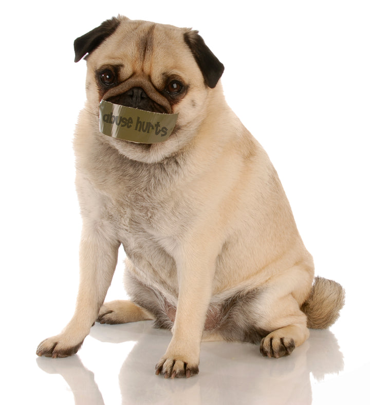 Animal Abuse: What it is and What it Isn’t