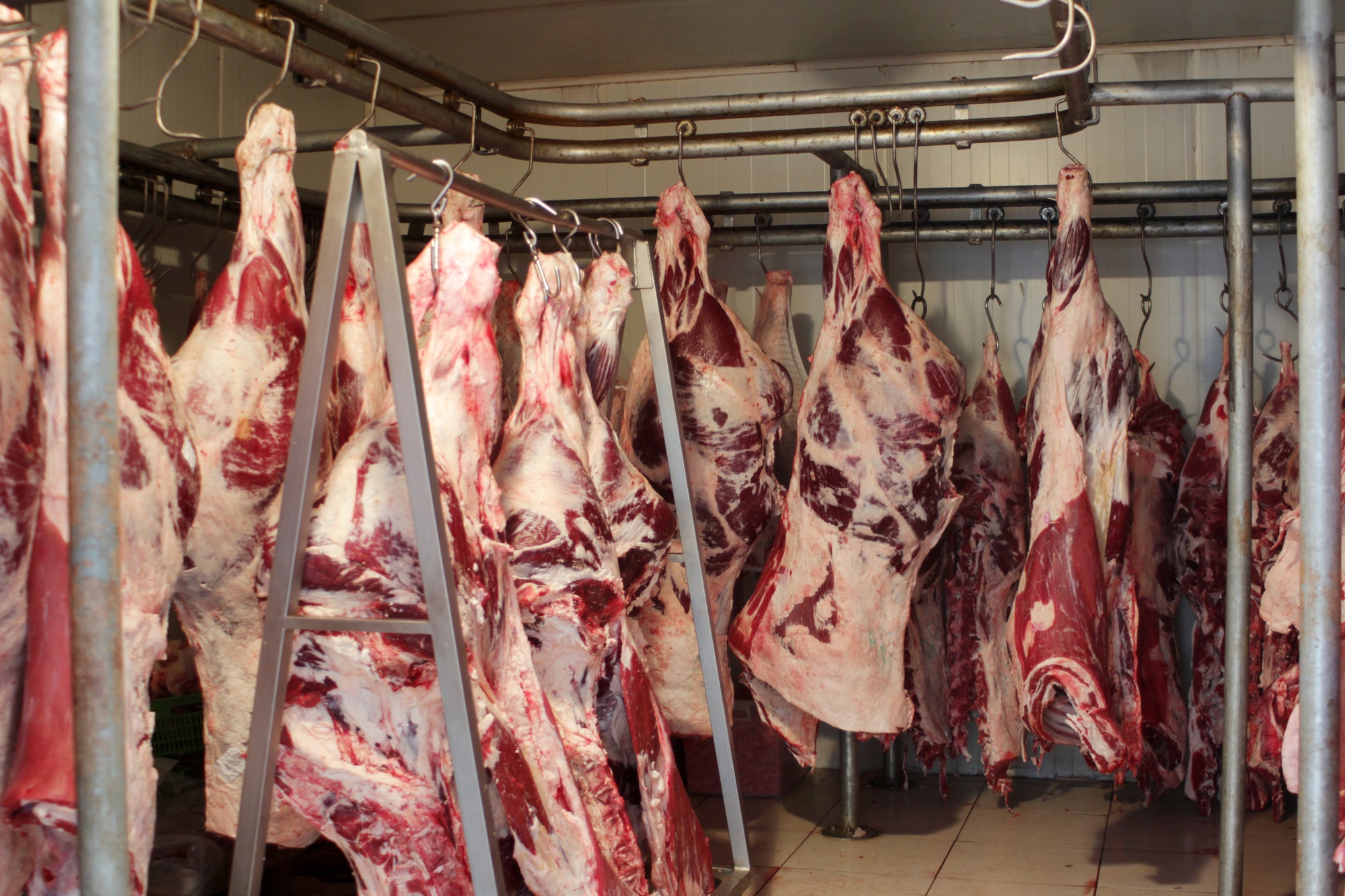 What is muscle sales meat for dogs
